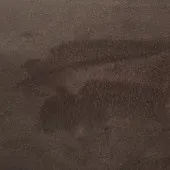 УТ-00030428